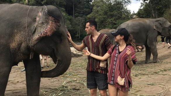 Elefanti Thailandia, come passare una splendida giornata senza maltrattarli