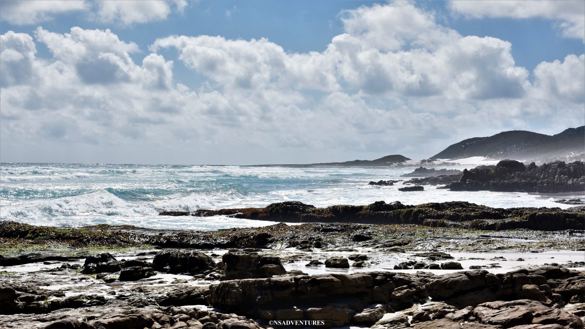 Cape Point, Beach