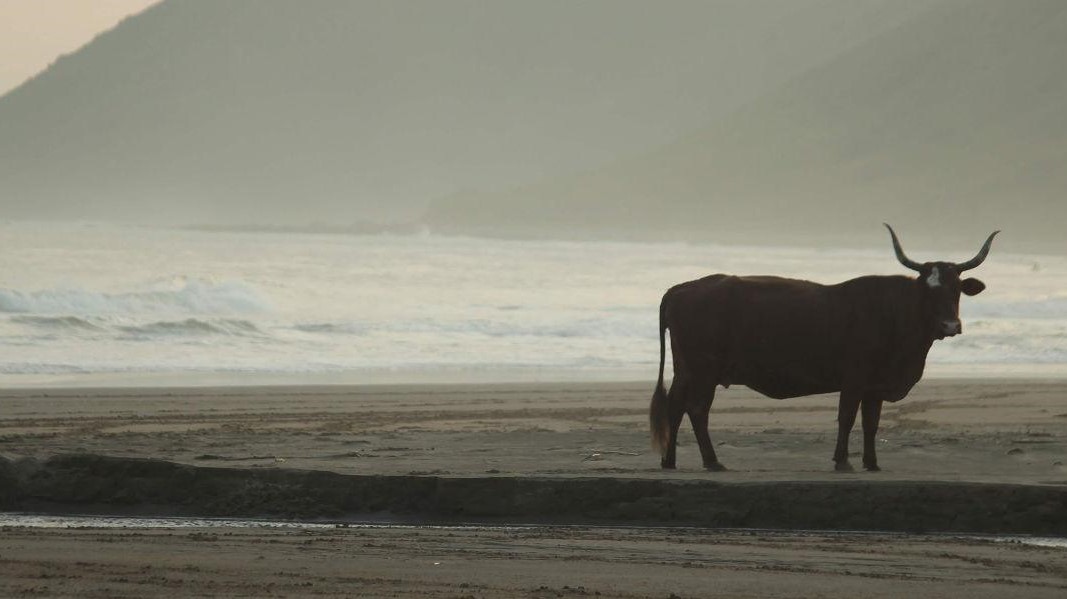 6 ottimi consigli per non farsi trovare impreparati nel corso del viaggio lungo la Wild Coast