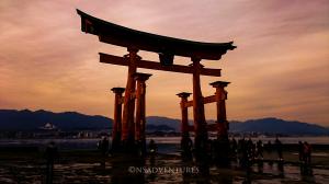 Miyajima _ Torii Gate Sunset