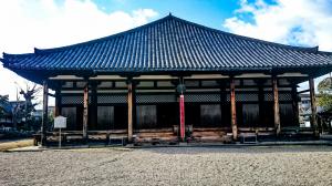 Nara _ Temple X