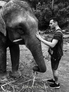 Elephant and I