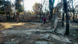 Beijing   Tai Chi